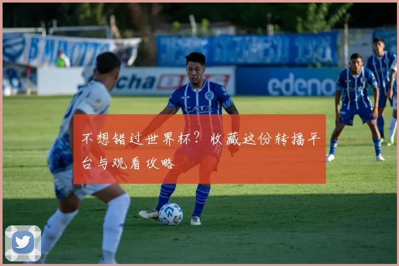 不想错过世界杯？收藏这份转播平台与观看攻略
