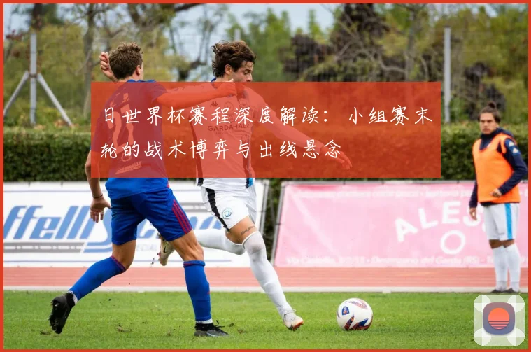 日世界杯赛程深度解读：小组赛末轮的战术博弈与出线悬念